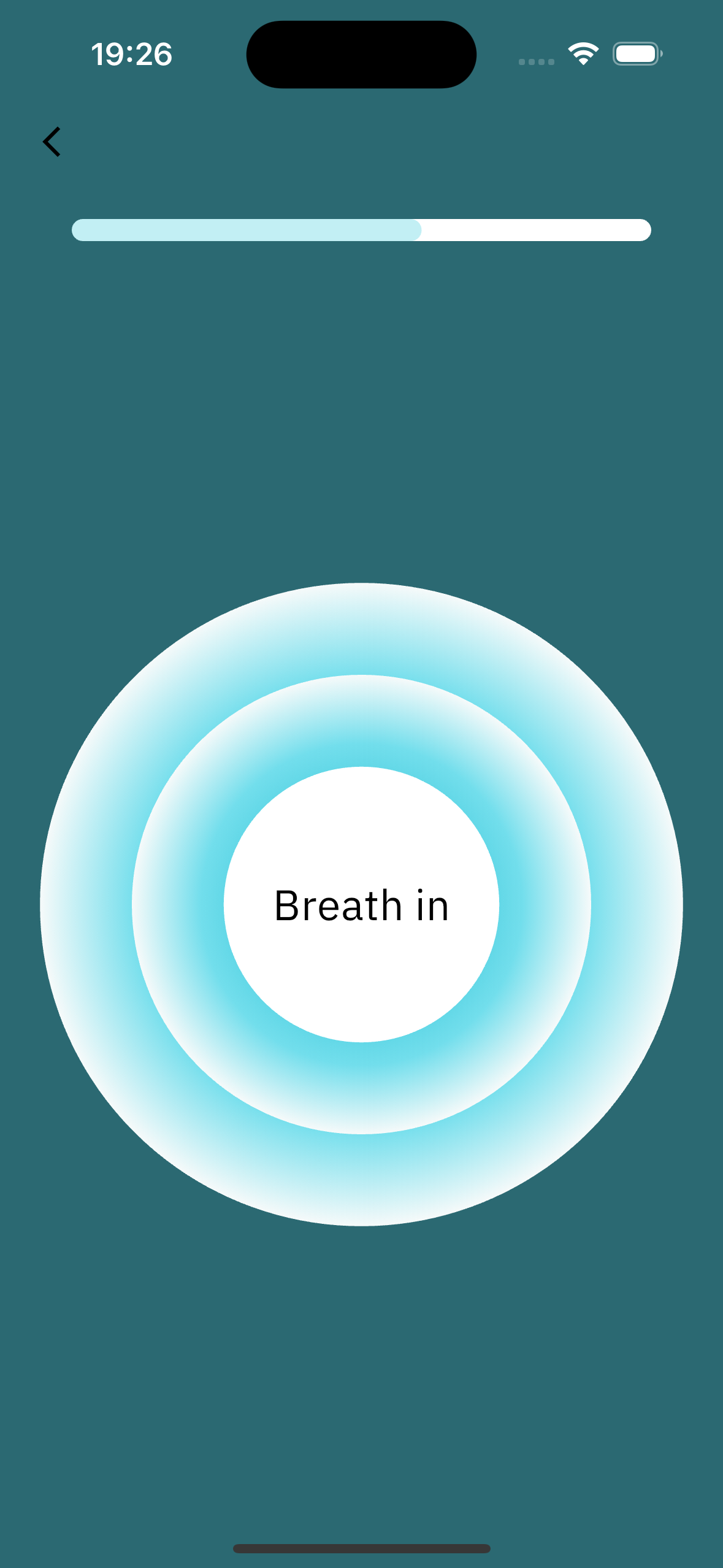 Guided Breathwork Screenshot